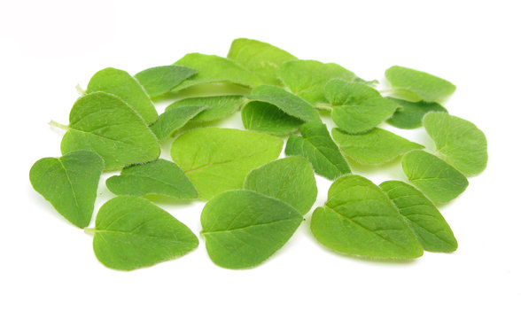 Oregano or pot majoram leaves
