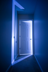 Door to the light