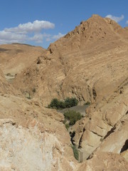 Oasis de Chekiba