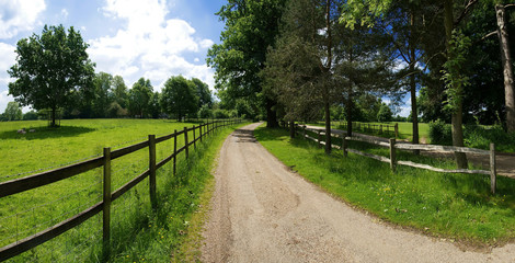 country lane