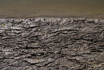 Mud in marsh