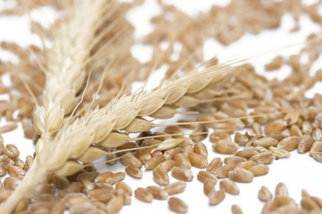 wheat ears against white background