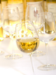 01vin06