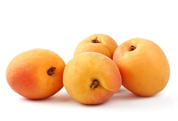 apricot