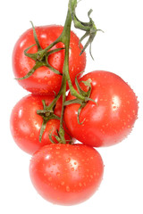 Frische Strauchtomaten