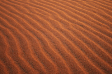 Desert Bed