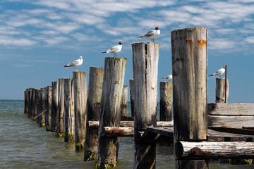 Pier