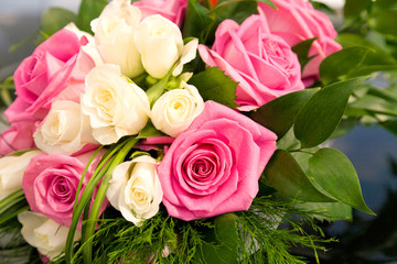 Roses
