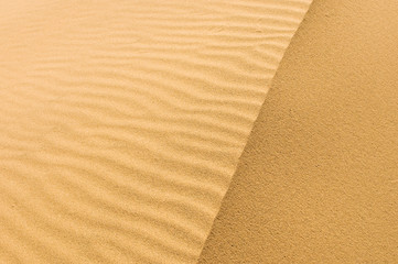 highly detailed texture of sand dunes