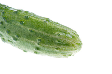 fresh cucumber  isolated