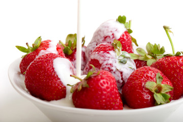 Strawberries in cream