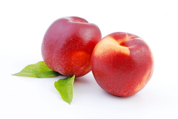 nectarine