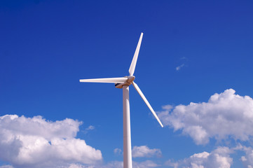 Wind Farm