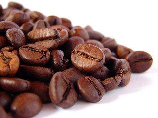 Coffee beans on white background