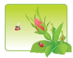 Poster Twee lieveheersbeestjes op de wilde roos © Kharlamova