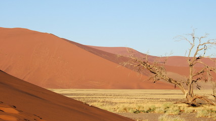 Désert du Namib, Namibie