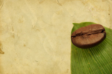 Old paper background with coffee bean on green leaf