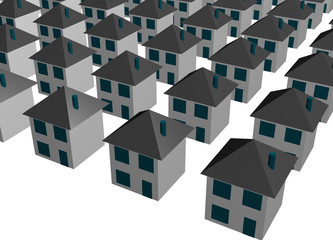 Overcrowding and Overpopulation