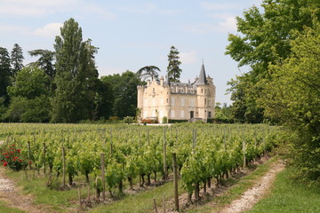 Fototapeta na wymiar Château Haut Graves Bergey'a