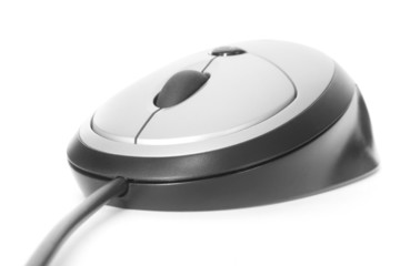 macro computer mouse