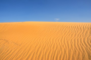 desert in inner mongolia of China