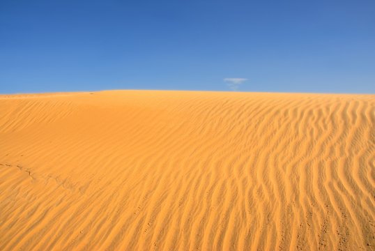 desert in inner mongolia of China © Li Ding