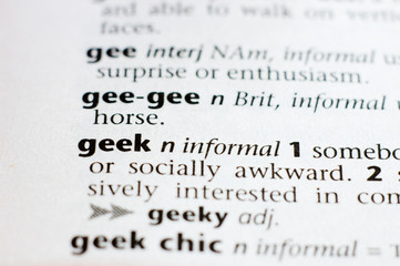 The definition of geek