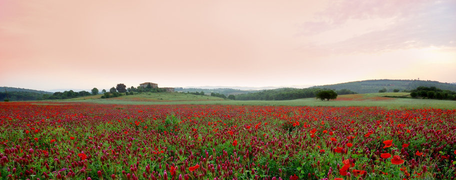 paysage d'un matin toscan