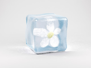 Flower in ice cube