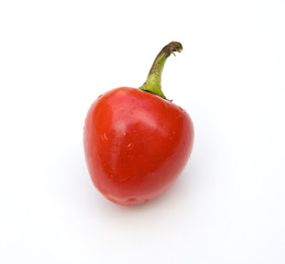 Red Hot Chili Pepper On White Background