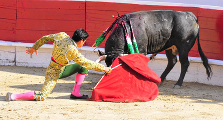Obraz na płótnie Canvas Matador On Knees