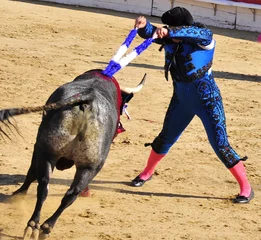 Cercles muraux Tauromachie Bullfight & Bandirillas
