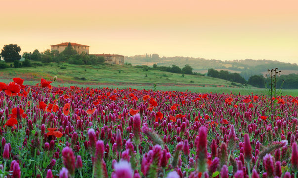 6 h du matin, en toscane