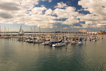 Fototapeta na wymiar Auckland- city of sails, New Zealand