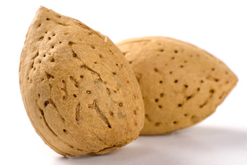 Almond Nuts