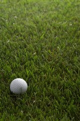 golfball on green