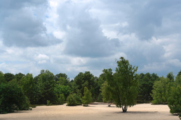 fontainebleau massif des trois pignons