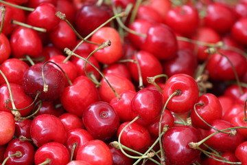 Red fresh cherries