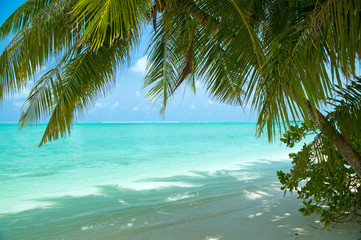 Obraz na płótnie Canvas Lonely tropikalnej plaży