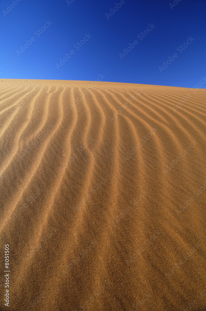 Wall mural A sand dune in the desert, Namibia, Africa