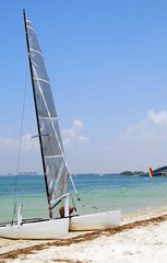 Obraz premium White Catamaran With a Silver Sail