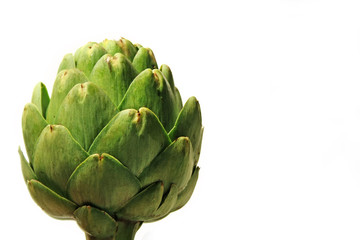 Fototapeta premium Globe Artichoke
