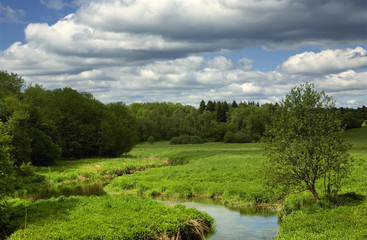 Summer landscape with river