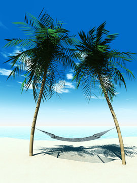 Hammock between palmtrees