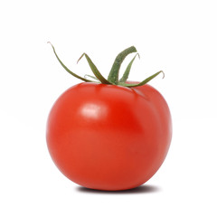 Tomato isolated
