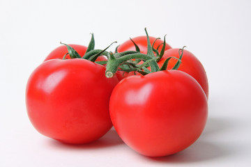 Strauchtomaten