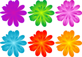 Fototapeta na wymiar Set of color flowers for your design