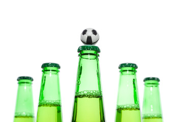 Beer in a bottle on a white background