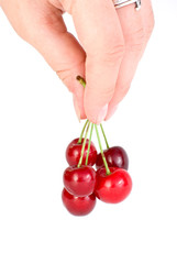 Hand carrying few red cherries