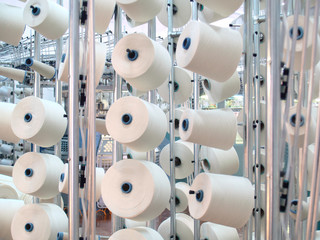 Cotton yarn spools (bobbins) in a textile factory